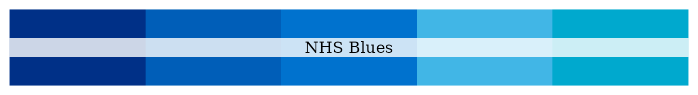 NHS blue tones palette
